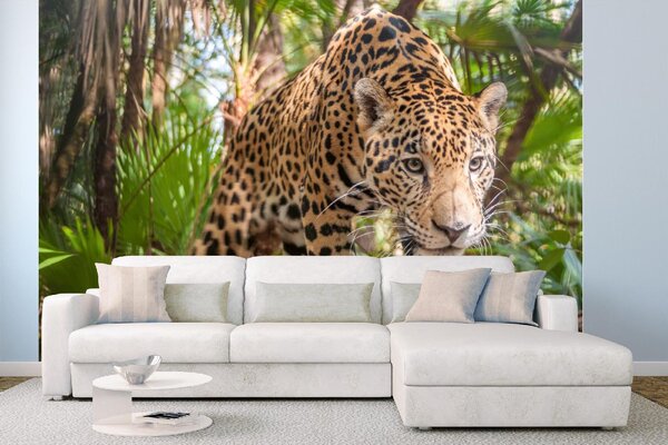 Samolepiaca vliesová fototapeta Jaguár v džungli 375 x 250 cm