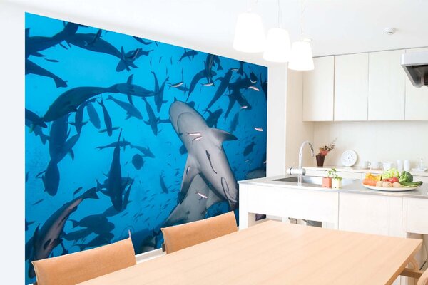 Samolepiaca vliesová fototapeta Potápanie so žralokmi 375 x 250 cm