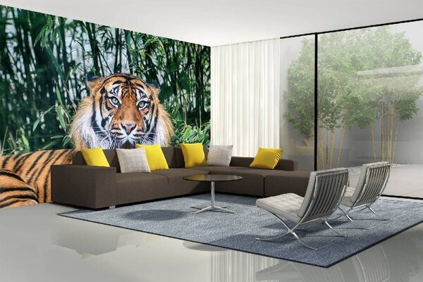 DIMEX | Vliesové fototapety na stenu Tiger sumaterský MS-5-0580 | 375 x 250 cm | zelená, biela, čierna, oranžová