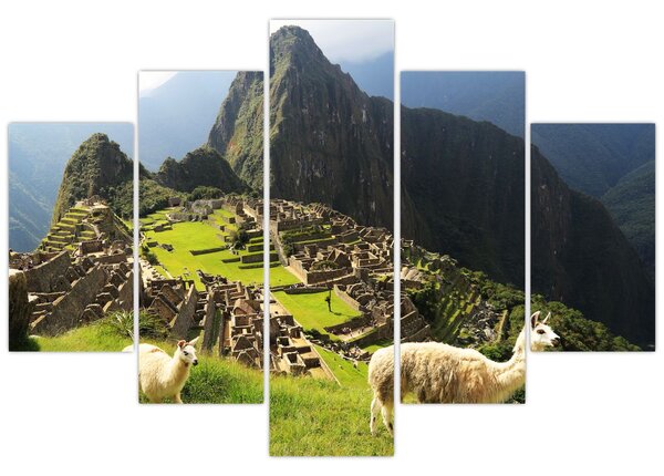 Obraz - Lamy v Machu Picchu (150x105 cm)