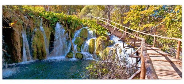 Obraz - Vstup na vodopády (120x50 cm)