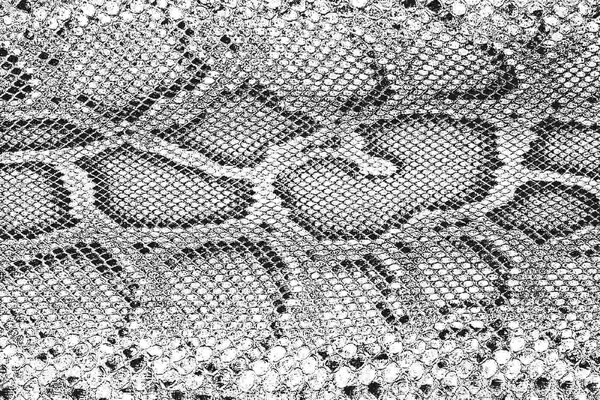 DIMEX | Vliesové fototapety na stenu Textúra krokodílej kože MS-5-2585 | 375 x 250 cm | biela, čierna
