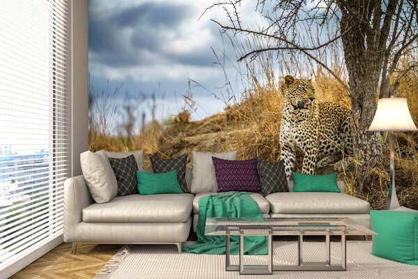 DIMEX | Vliesové fototapety na stenu Divoký leopard MS-5-0566 | 375 x 250 cm | modrá, béžová, hnedá