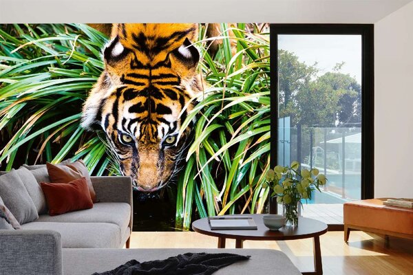 Samolepiaca vliesová fototapeta Tiger pri rieke 375 x 250 cm