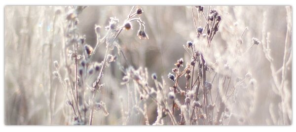 Obraz - Rastlina (120x50 cm)