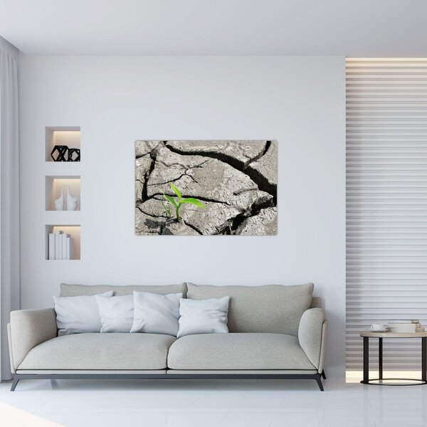 Obraz - Praskliny (90x60 cm)