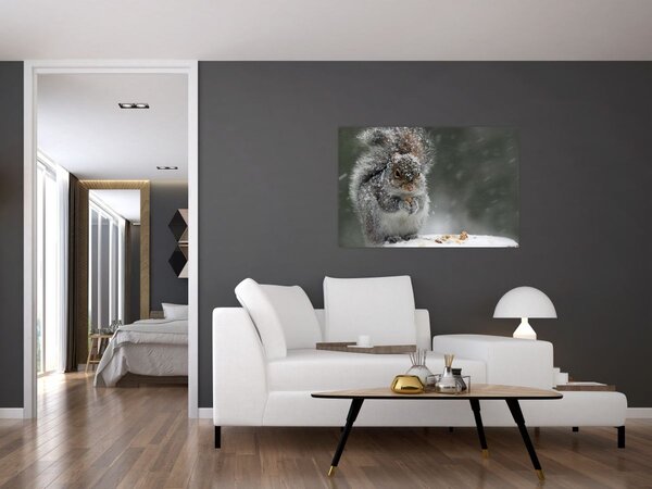 Obraz - Veverička v zime (90x60 cm)