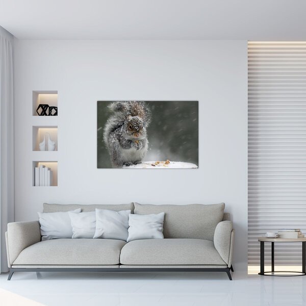 Obraz - Veverička v zime (90x60 cm)
