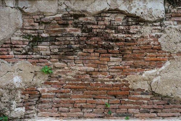 DIMEX | Vliesové fototapety na stenu Prasknutá cementová omietka MS-5-2682 | 375 x 250 cm | zelená, červená, béžová