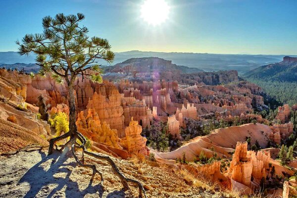 DIMEX | Vliesové fototapety na stenu Národný park Bryce Canyon MS-5-3017 | 375 x 250 cm | zelená, modrá, hnedá