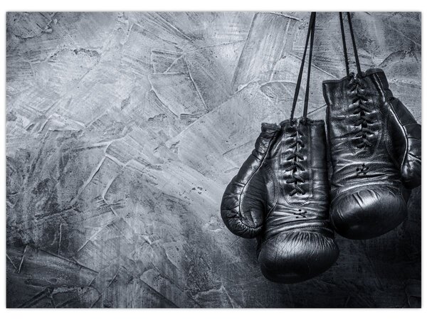 Obraz - Boxerské rukavice (70x50 cm)