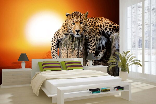 DIMEX | Vliesové fototapety na stenu Leopard so západom slnka MS-5-0599 | 375 x 250 cm | červená, béžová, oranžová