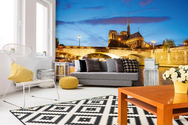DIMEX | Vliesové fototapety na stenu Notre-Dame III. MS-5-1143 | 375 x 250 cm | modrá, biela, béžová