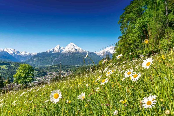 Samolepiaca vliesová fototapeta Alpská krajina 375 x 250 cm