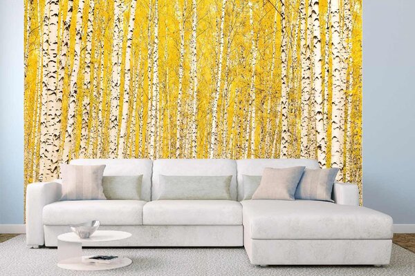 DIMEX | Vliesové fototapety na stenu Žltá breza MS-5-1898 | 375 x 250 cm | biela, čierna, žltá