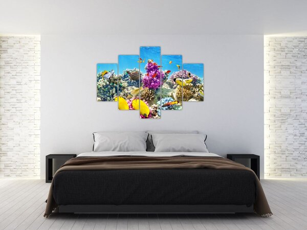 Obraz - Morský svet (150x105 cm)