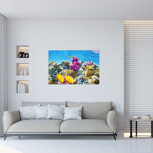 Obraz - Morský svet (90x60 cm)