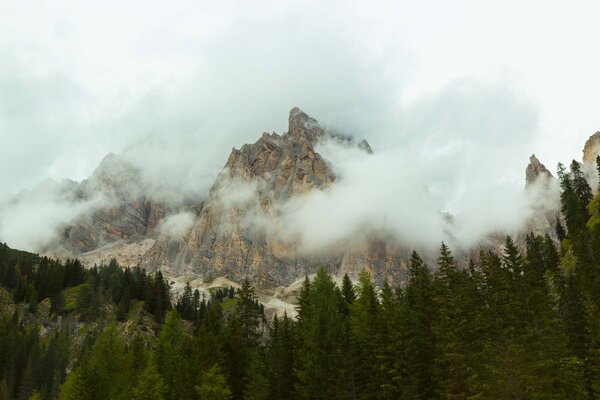 DIMEX | Vliesové fototapety na stenu Hmla v dolomitoch MS-5-1639 | 375 x 250 cm | zelená, hnedá, šedá