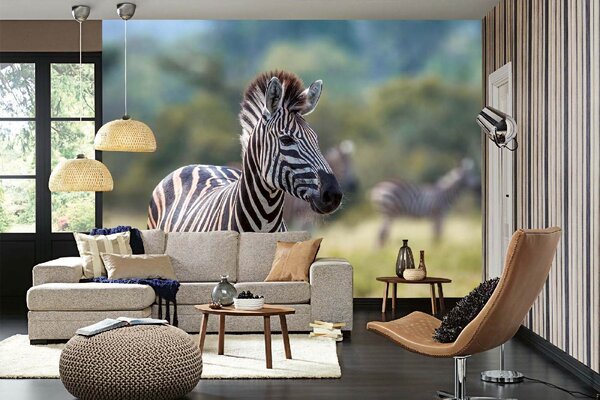 DIMEX | Vliesové fototapety na stenu Zebra stepná MS-5-0456 | 375 x 250 cm | zelená, biela, čierna, hnedá