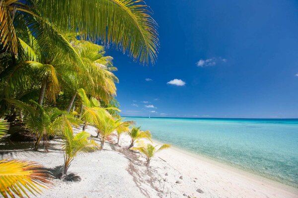 DIMEX | Vliesové fototapety na stenu Pláž na tropickom ostrove MS-5-3242 | 375 x 250 cm | zelená, modrá, krémová