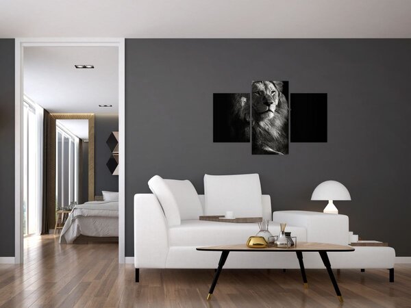 Obraz - Lev (90x60 cm)