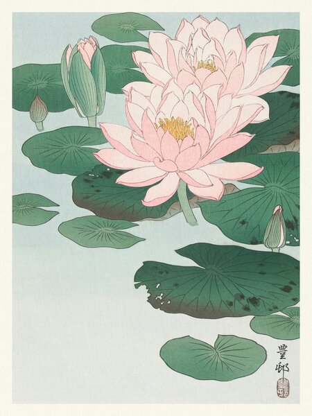 Umelecká tlač Water Lily / Lotus (Japandi Vintage) - Ohara Koson, (30 x 40 cm)