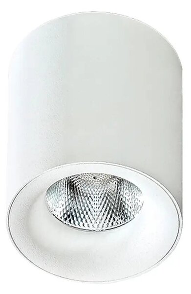 LED bodové svetlo Mane biele – Biela
