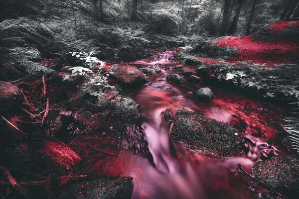 DIMEX | Vliesové fototapety na stenu Červený prúd v džungli MS-5-1608 | 375 x 250 cm | červená, čierna, ružová