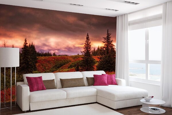 DIMEX | Vliesové fototapety na stenu Červánky na Aljaške MS-5-1736 | 375 x 250 cm | zelená, červená, hnedá