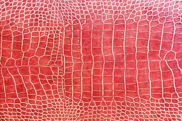 DIMEX | Vliesové fototapety na stenu Textúra červenej krokodílej kože MS-5-2588 | 375 x 250 cm | červená, biela