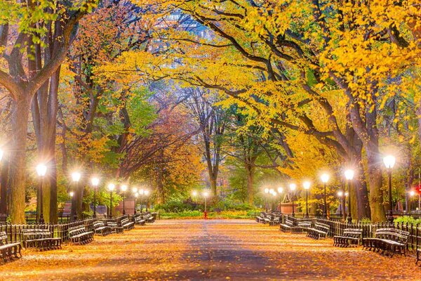 DIMEX | Vliesové fototapety na stenu Central Park na jeseň MS-5-3019 | 375 x 250 cm | zelená, modrá, žltá, hnedá