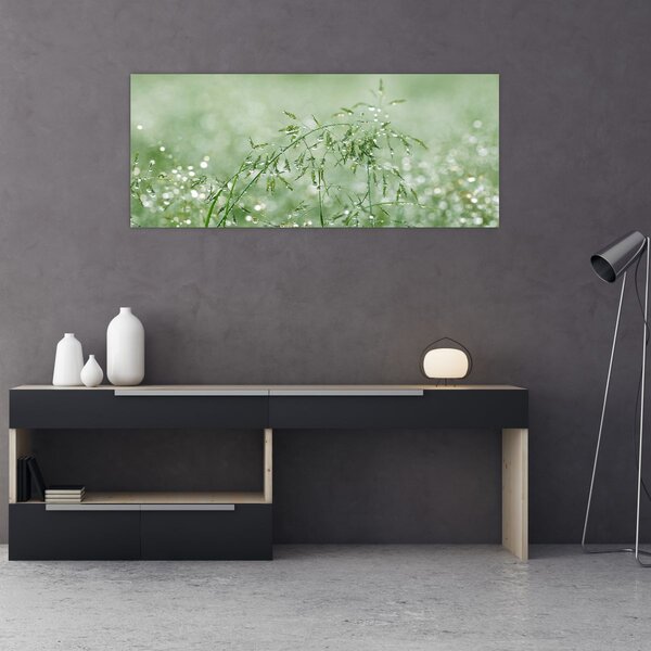 Obraz - Ranná rosa na steblach trávy (120x50 cm)