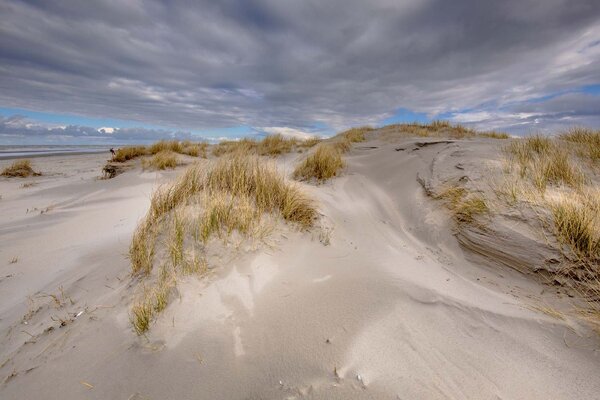DIMEX | Vliesové fototapety na stenu Waddenské more MS-5-3211 | 375 x 250 cm | zelená, modrá, biela