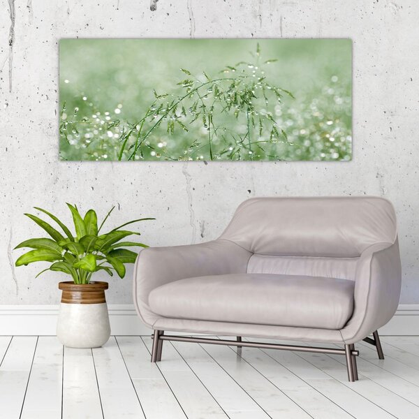 Obraz - Ranná rosa na steblach trávy (120x50 cm)