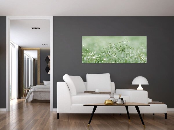 Obraz - Ranná rosa na steblach trávy (120x50 cm)