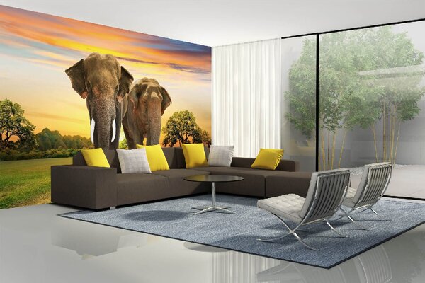 DIMEX | Vliesové fototapety na stenu Sloní pár MS-5-0489 | 375 x 250 cm | zelená, oranžová, hnedá, šedá