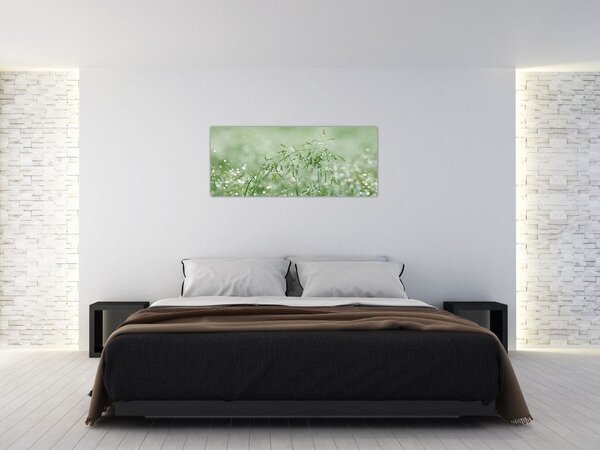 Obraz - Ranná rosa na steblach trávy (120x50 cm)