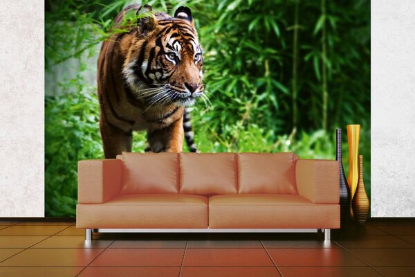 DIMEX | Vliesové fototapety na stenu Prechádzajúci sa tiger MS-5-0601 | 375 x 250 cm | zelená, biela, čierna, oranžová
