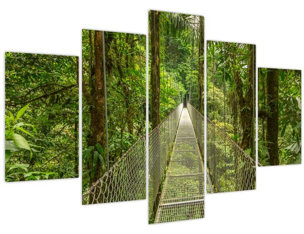 Obraz - Závesný most (150x105 cm)