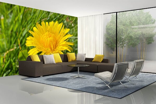 DIMEX | Vliesové fototapety na stenu Jarná púpava MS-5-1337 | 375 x 250 cm | zelená, žltá