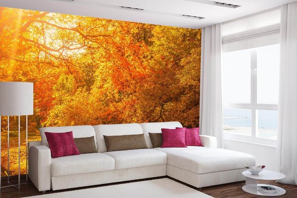 DIMEX | Vliesové fototapety na stenu Jesenné javorové stromy MS-5-1900 | 375 x 250 cm | žltá, oranžová, hnedá