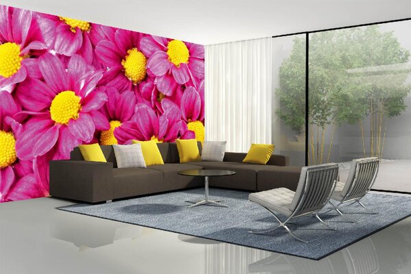 Samolepiaca vliesová fototapeta Ružové georgíny 375 x 250 cm