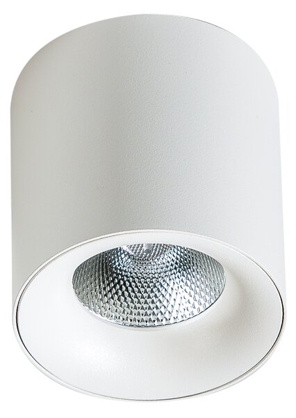 LED bodové svetlo Mane 20W biele – Biela