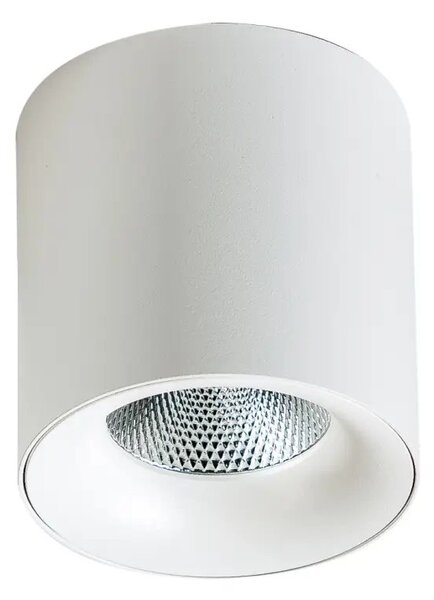 LED bodové svetlo Mane 10W 4000K biele – Biela