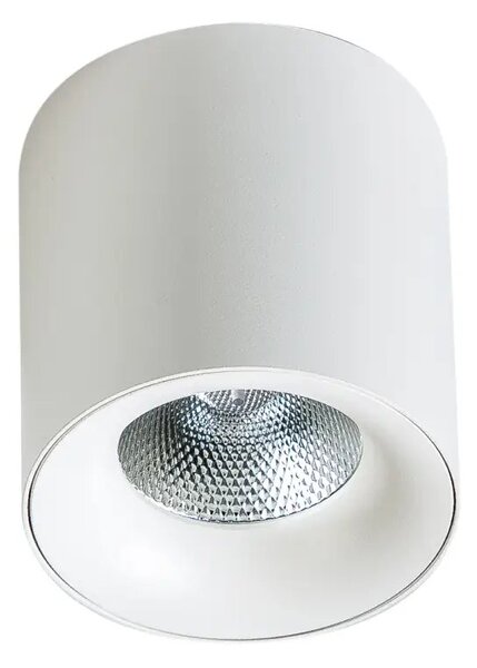 LED bodové svetlo Mane 20W biele – Biela