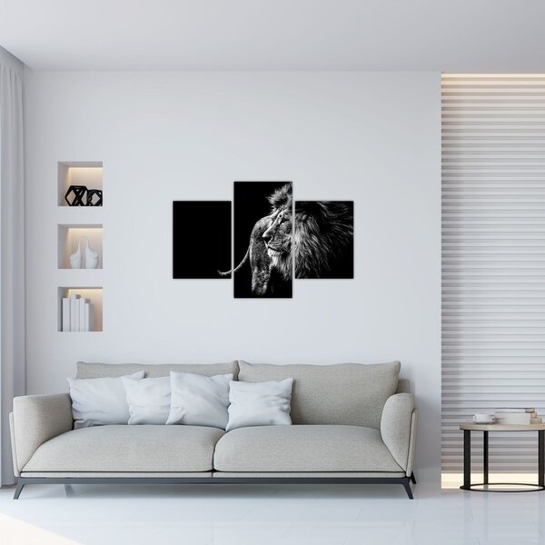 Obraz - Lev, čiernobiela (90x60 cm)