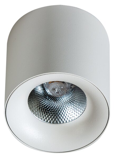 LED bodové svetlo Mane 20W biele – Biela