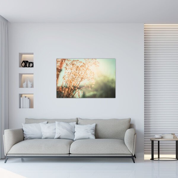Obraz - Rastliny po daždi (90x60 cm)