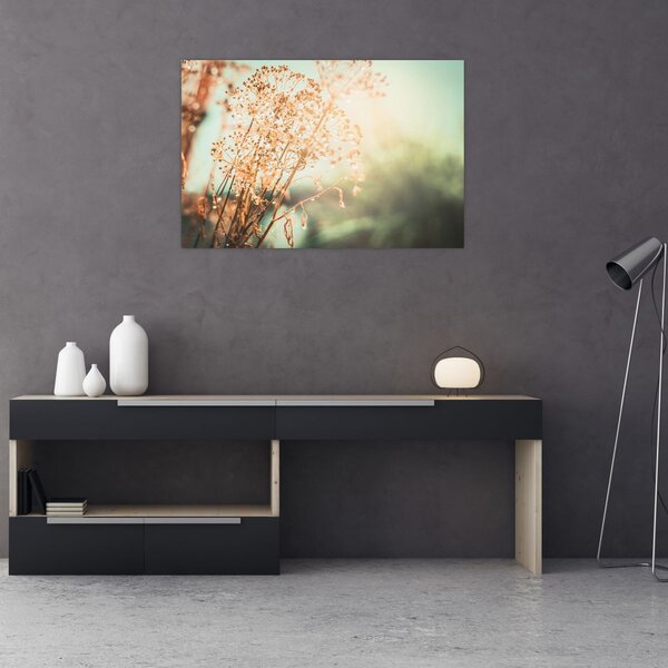 Obraz - Rastliny po daždi (90x60 cm)