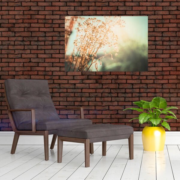 Obraz - Rastliny po daždi (90x60 cm)